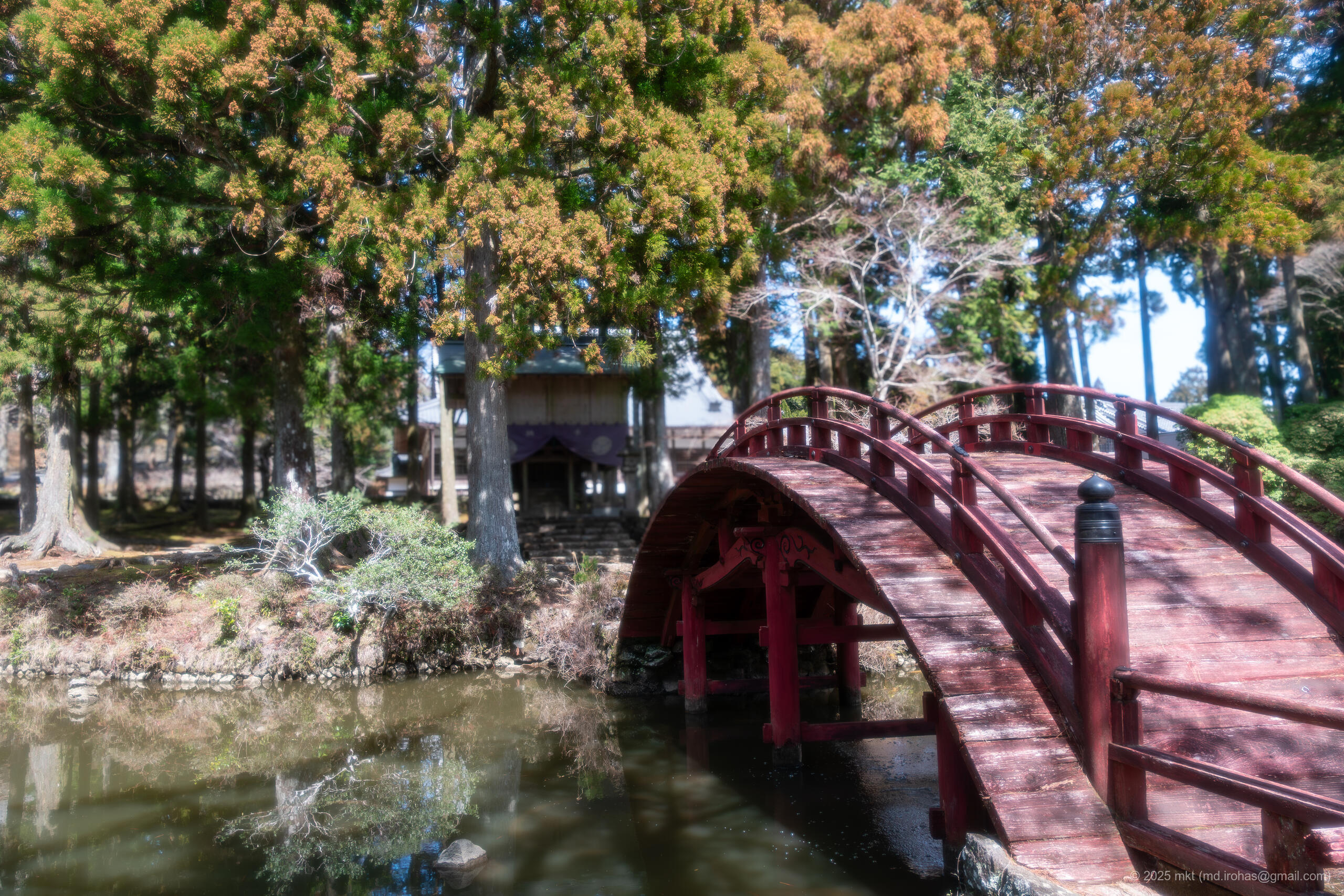 DSC05616-Enhanced-NR.jpg