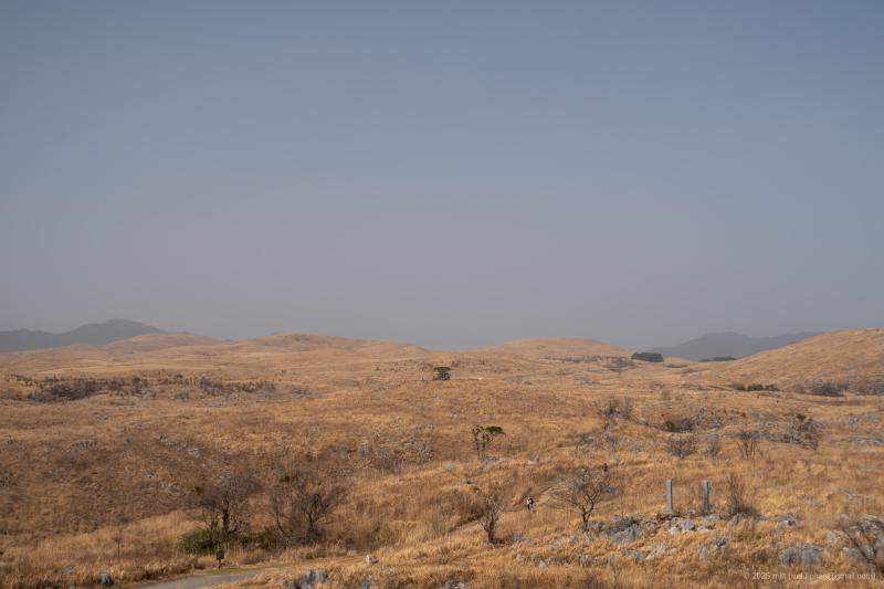 DSC06116.jpg