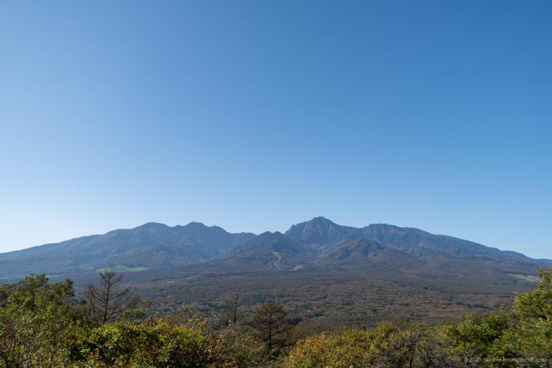 DSC06225.jpg