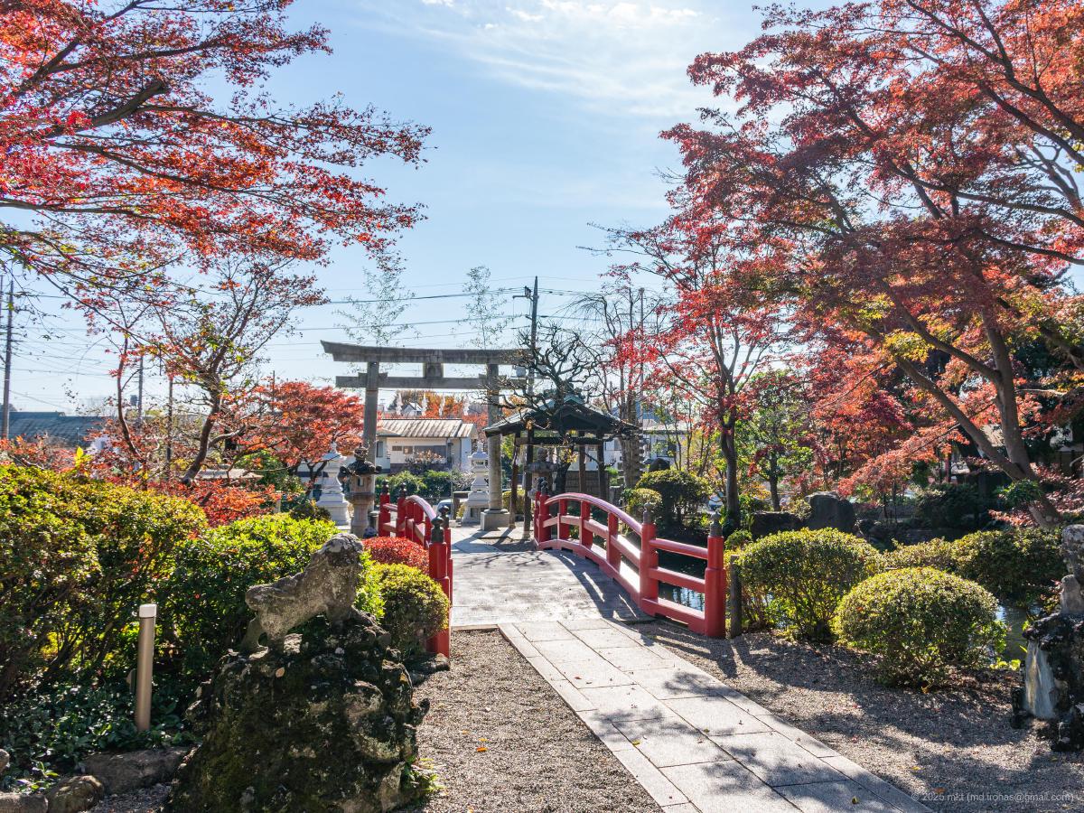 Trip Photo: Nukui Jinja (November, 2025)