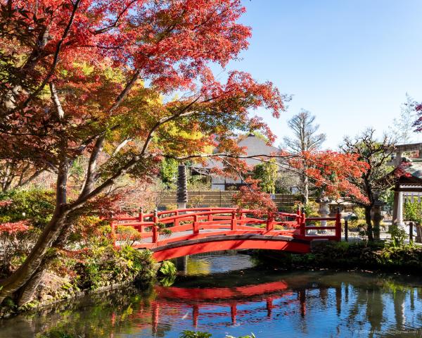 Trip Photo: Nukui Jinja (November, 2025)