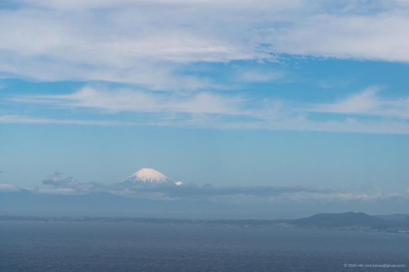 DSC04960.jpg