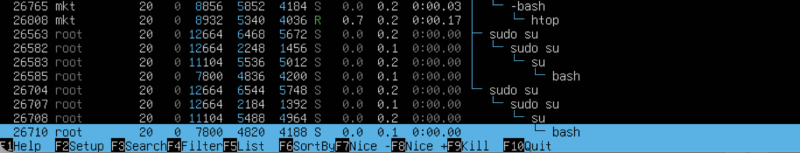 PID 1の直下に残ったsudo suのプロセスツリー